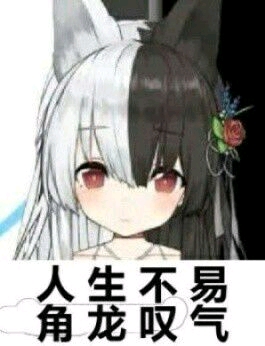 1742668242364.jpg